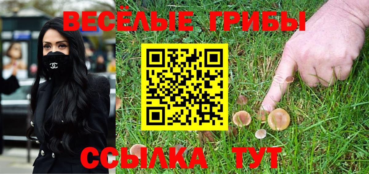 Галлюциногенные грибы Psilocybine cubensis Бузулук