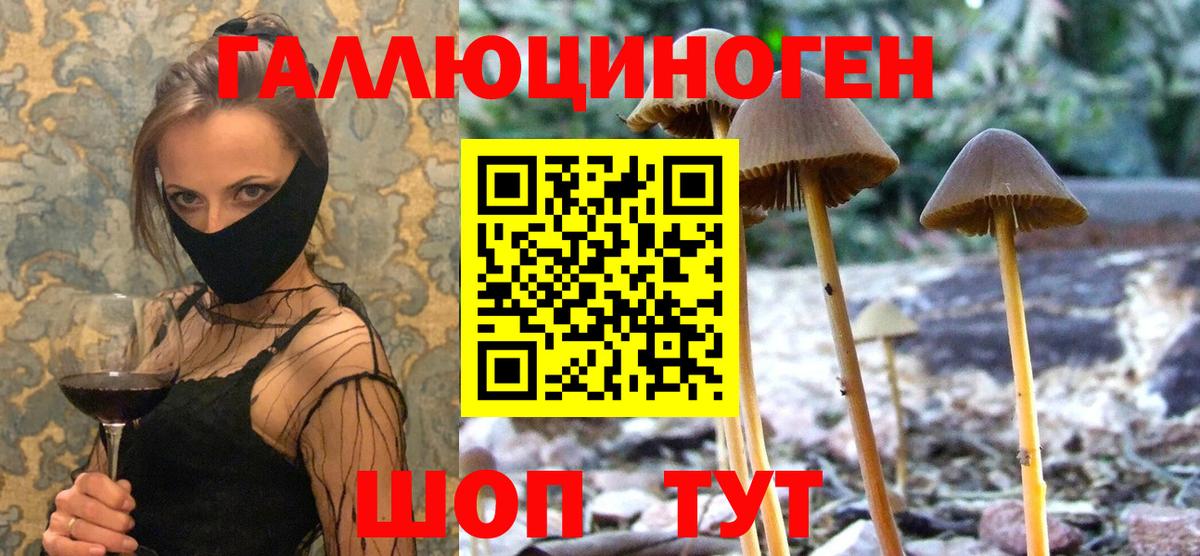 Бузулук  Галлюциногенные грибы Cubensis  Галлюциногенные грибы прущие грибы  наркошоп  Вход с VPN 